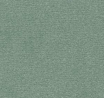 Ковролин Radici Nexus Onice 2427 фото 1 | FLOORDEALER